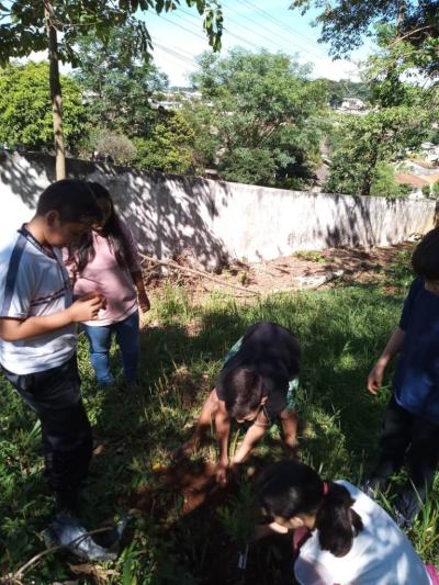 UFFS e Escola Agua Verde realizam plantio de Ã¡rvores atravÃ©s projeto Ponto De Cultura